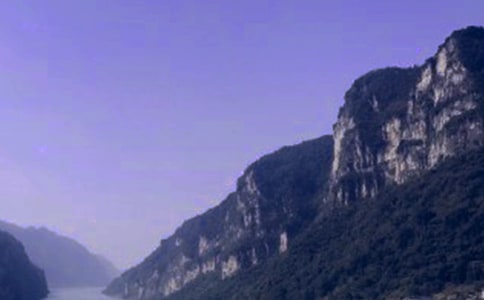 �P���L�����{�Č����~