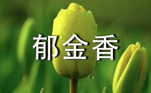 ������Ļ��Z15ƪ